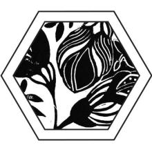 Profile photo ofsolac