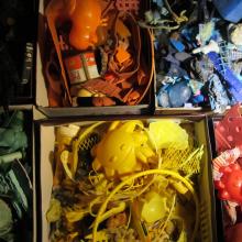 Photo de profil deLuciedeveze@gmail.com