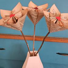 Photo de profil debourgeonbavard@gmail.com