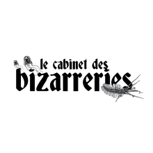 Photo de profil delecabinetdesbizarreries@gmail.com