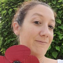 Photo de profil decartonmetamorphose@gmail.com