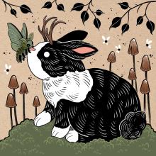 Photo de profil decuriosites.jj@gmail.com