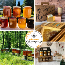 Photo de profil delesruchersdebriquepierre@gmail.com